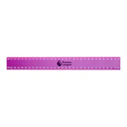 30cm Budget Ruler With Double Sided Calibration - Grape